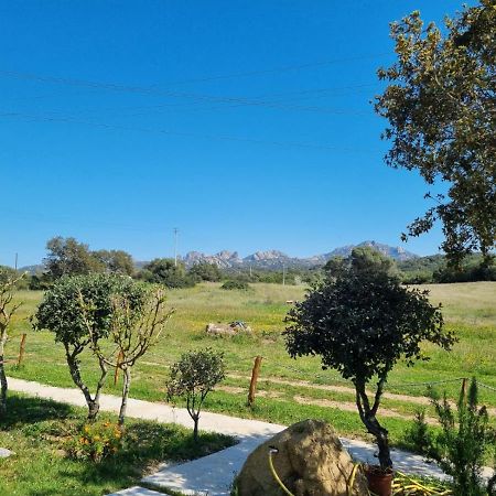 Lu Antu Alloggi Agrituristici 阿尔扎凯纳 外观 照片