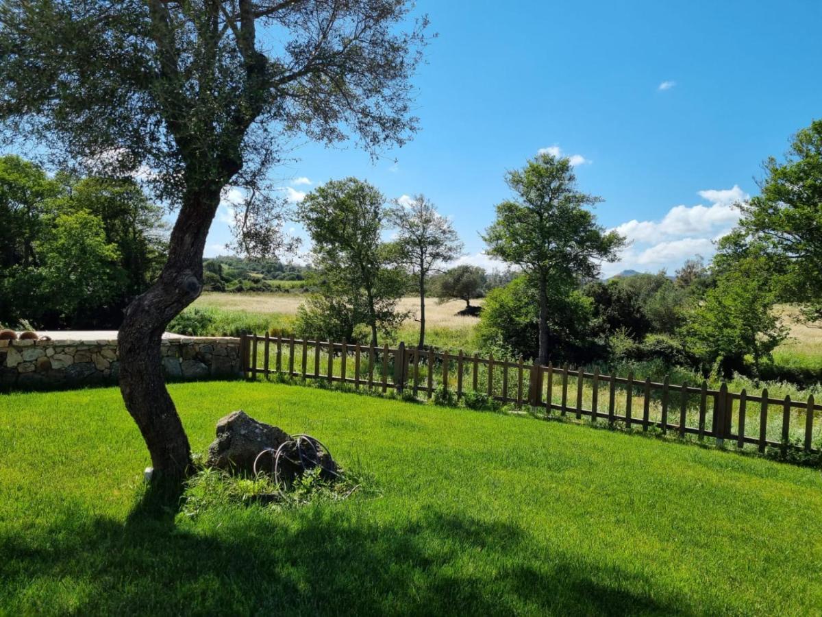 Lu Antu Alloggi Agrituristici 阿尔扎凯纳 外观 照片