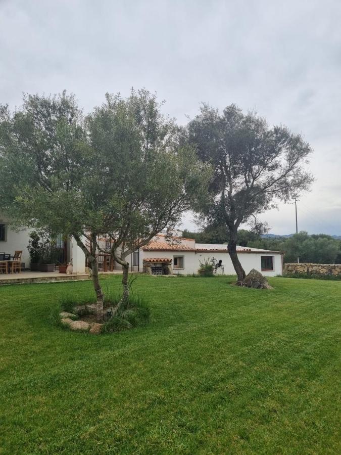 Lu Antu Alloggi Agrituristici 阿尔扎凯纳 外观 照片