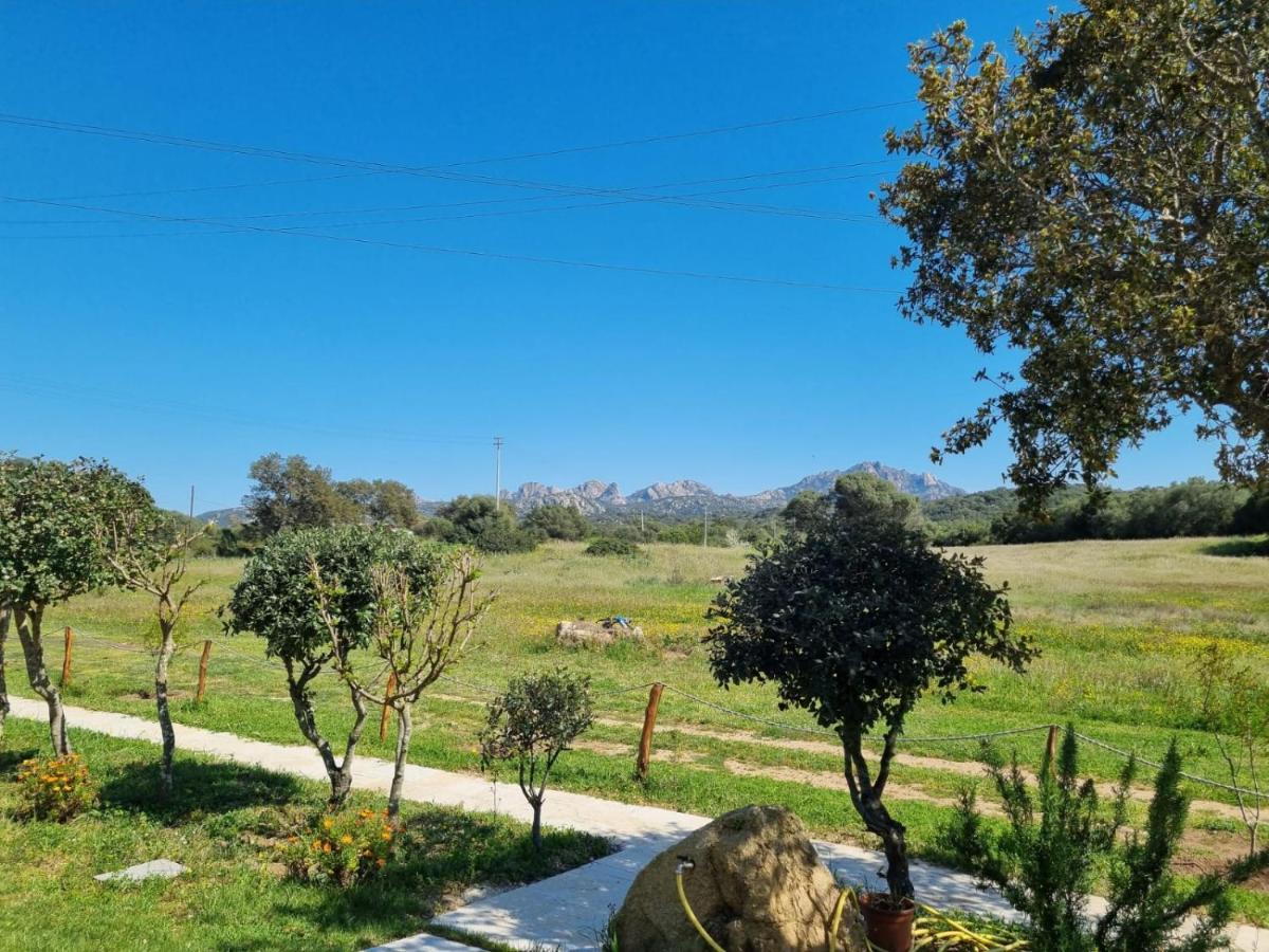 Lu Antu Alloggi Agrituristici 阿尔扎凯纳 外观 照片