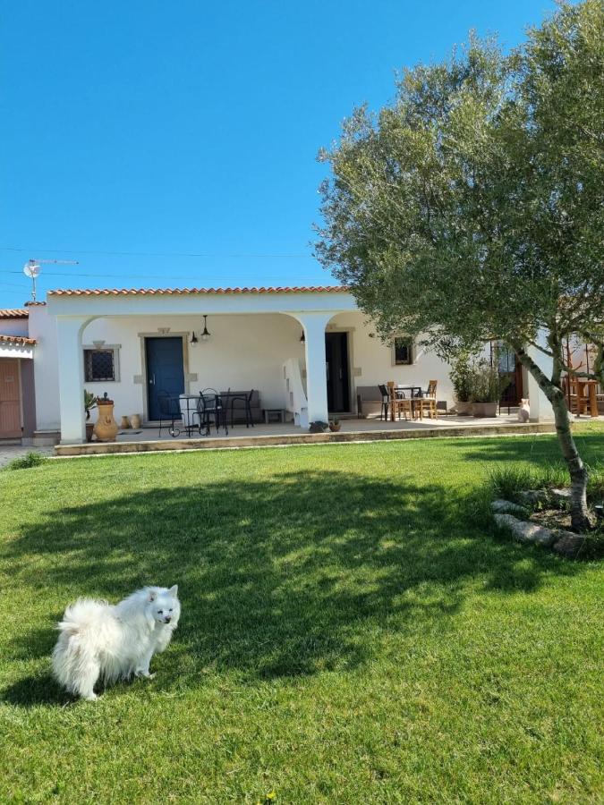 Lu Antu Alloggi Agrituristici 阿尔扎凯纳 外观 照片