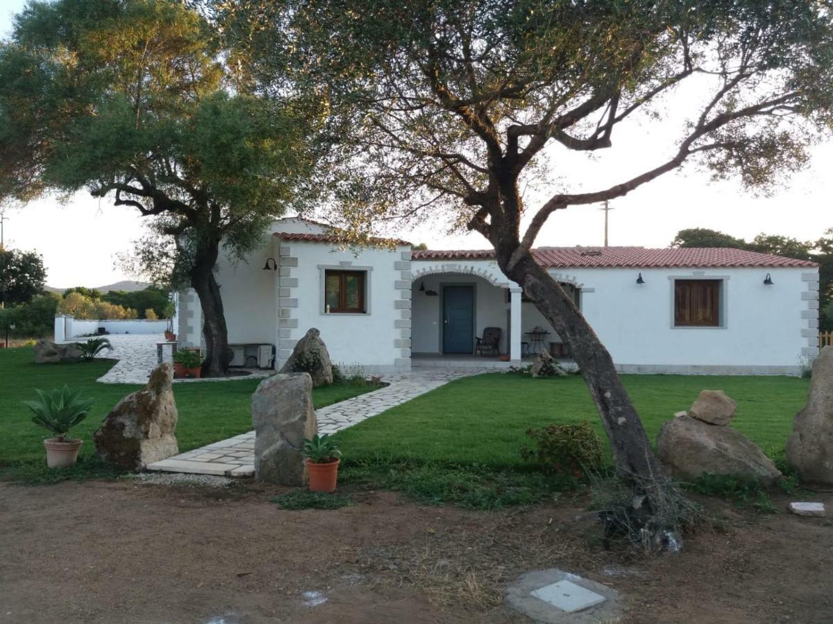 Lu Antu Alloggi Agrituristici 阿尔扎凯纳 外观 照片